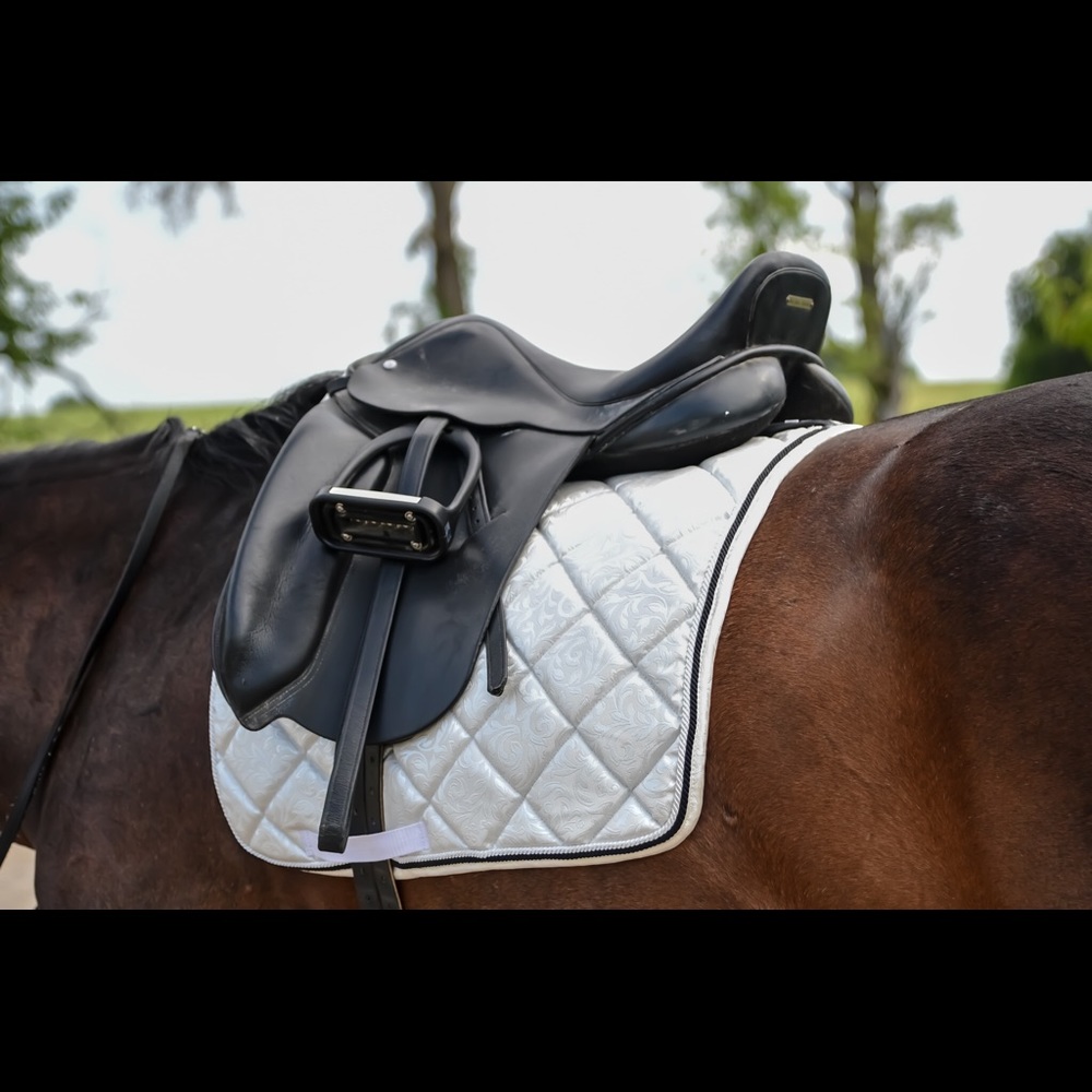White patterned dressage pad and over size brushing boots!